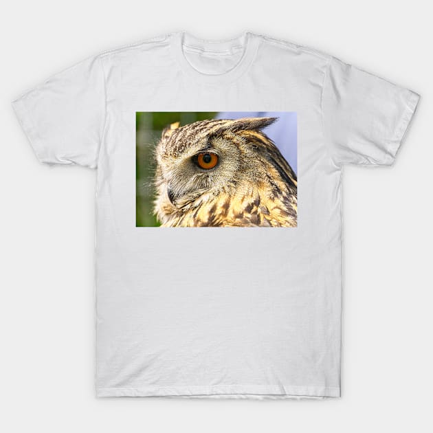 Eagle Owl Portrait T-Shirt by millroadgirl